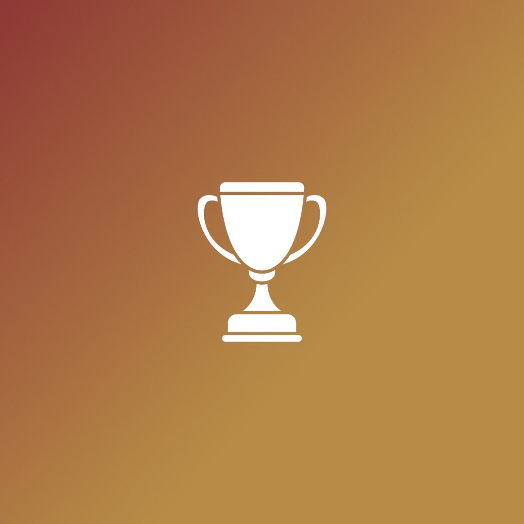 Professional Excellence Icon